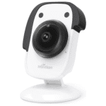 Camara Mintion Beagle